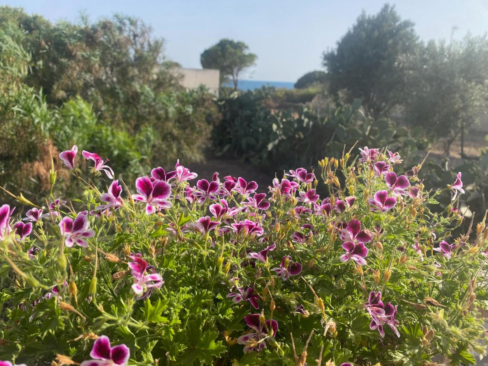 Ificumori, Campagna Ammare Villa Marina di Modica Exterior foto