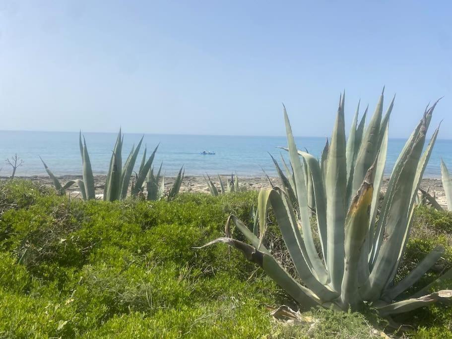 Ificumori, Campagna Ammare Villa Marina di Modica Exterior foto