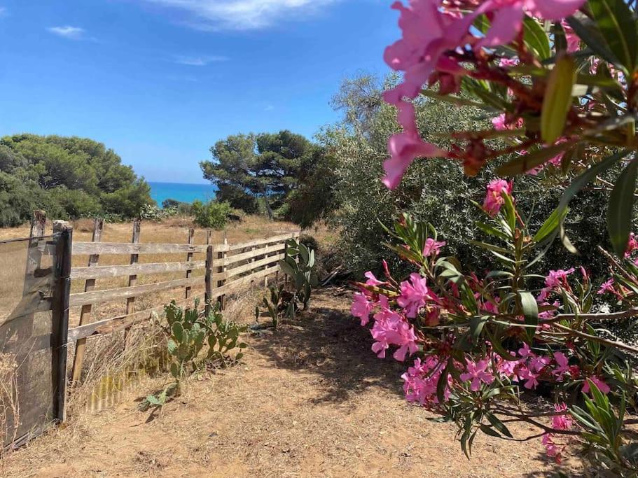 Ificumori, Campagna Ammare Villa Marina di Modica Exterior foto