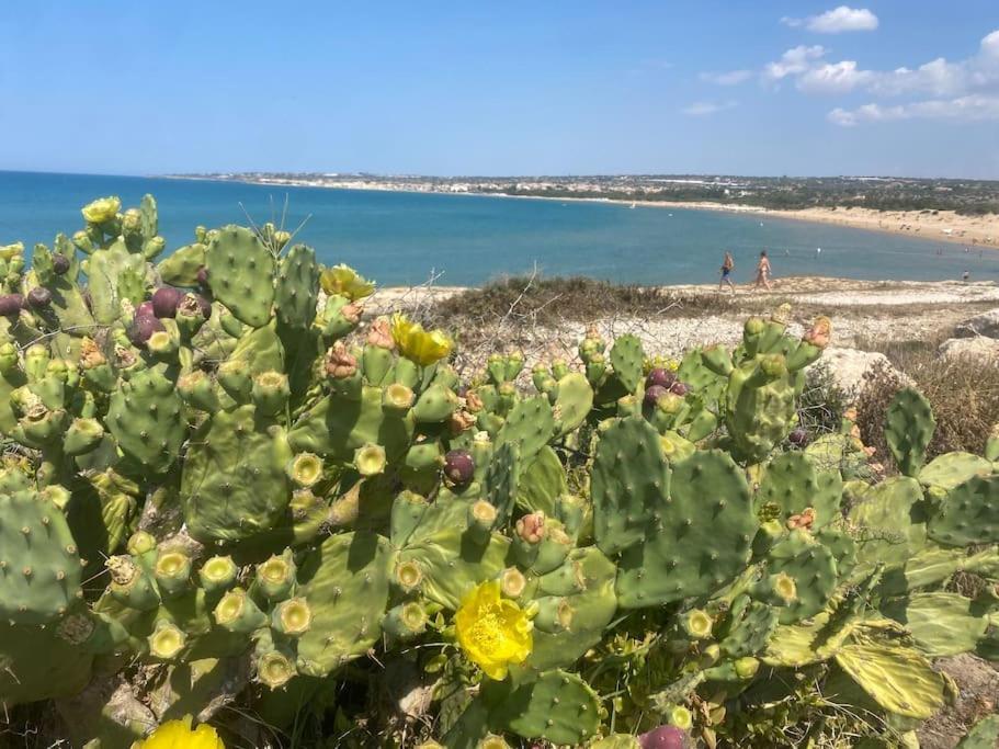 Ificumori, Campagna Ammare Villa Marina di Modica Exterior foto