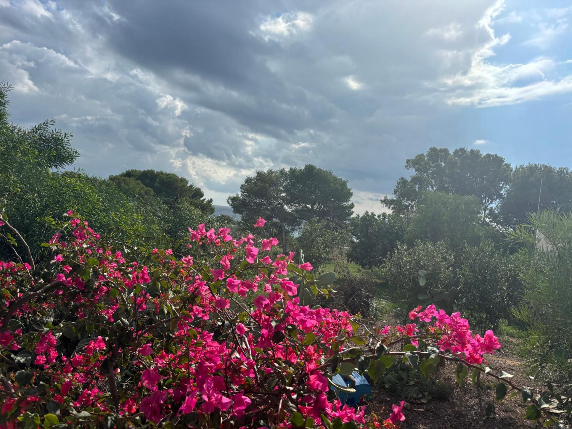 Ificumori, Campagna Ammare Villa Marina di Modica Exterior foto